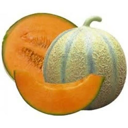 MelSod EXTRAMEL® - Complément alimentaire SOD de melon antioxydant | Sante-nature-science.com